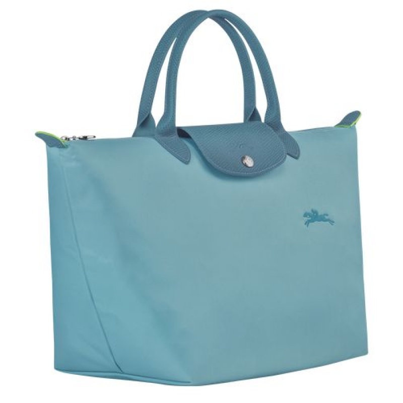 Longchamp Le Pliage Green Top handle bag M Thunderstorm | APNOFVT-54