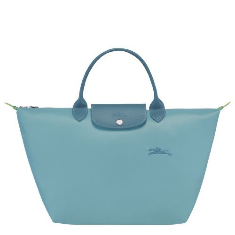 Longchamp Le Pliage Green Top handle bag M Thunderstorm | APNOFVT-54
